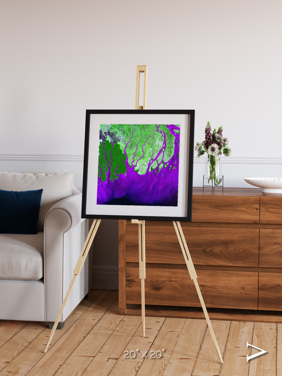 Delta Mosaic, Ganges River Delta Framed & Mounted Print