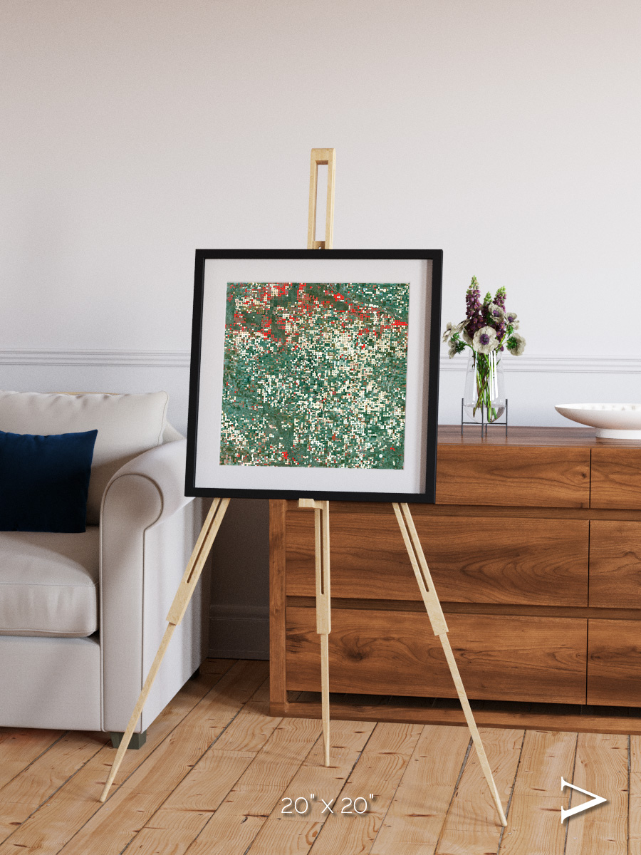 Patterns of Growth, Garden City Framed & Mounted Print