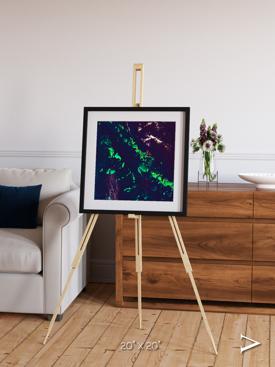 Patterned Ground, Great Barrier Reef Framed & Mounted Print