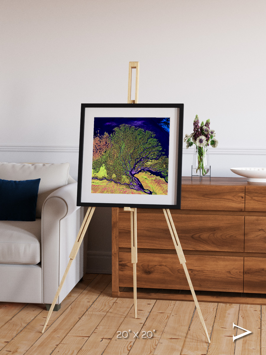 Delta Mosaic, Lena Delta Framed & Mounted Print