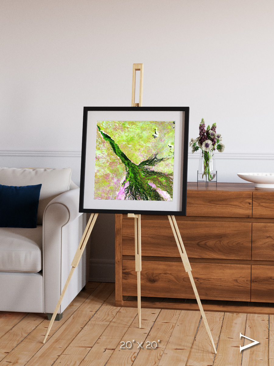 Inland Bloom, Okavango Framed & Mounted Print