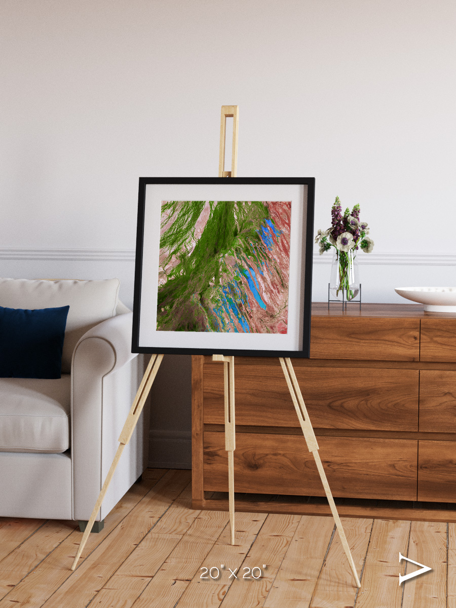Desert Bloom, Lake Eyre Basin Framed & Mounted Print