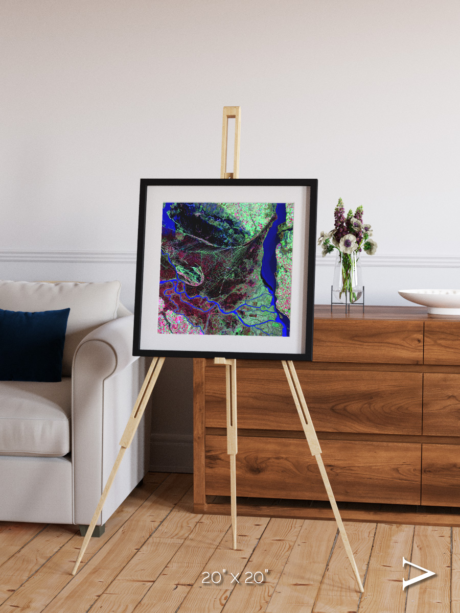 Braided Delta, Parana River Delta Framed & Mounted Print