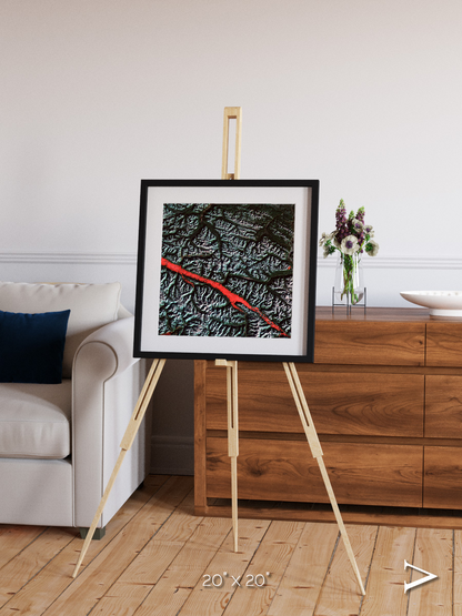 Light in the Trench, Canadian Rockies Framed & Mounted Print