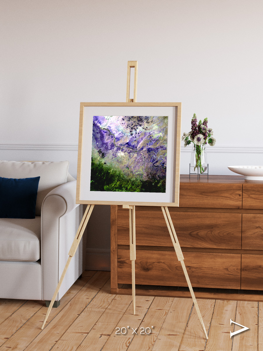 Arid Mosaic, Desert to Forest Framed & Mounted Print