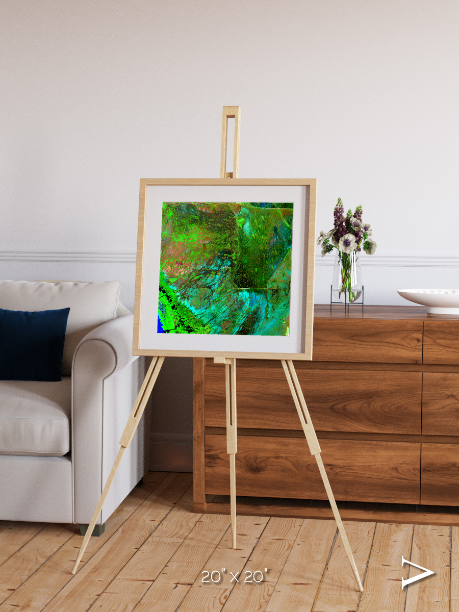 Linear Dunes, Florida Everglades Framed & Mounted Print