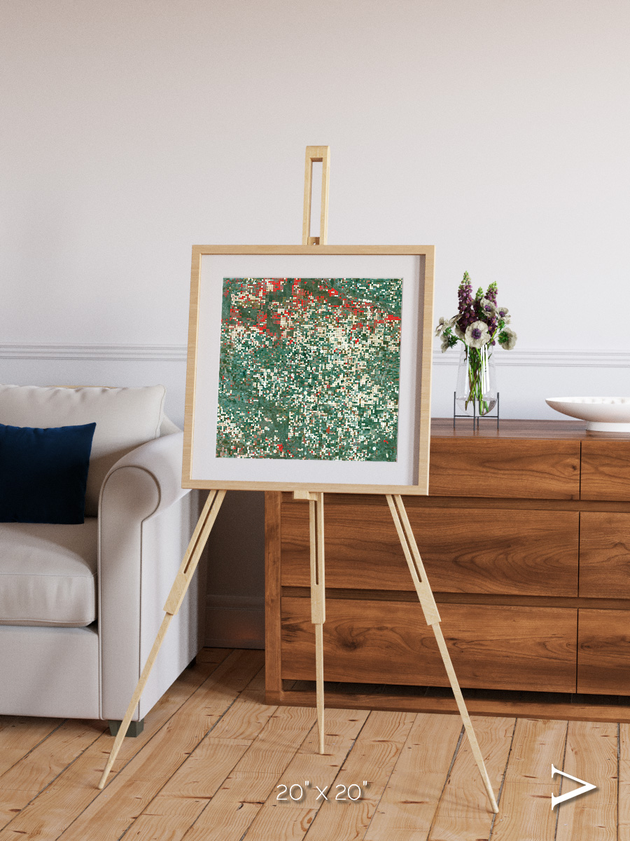 Patterns of Growth, Garden City Framed & Mounted Print