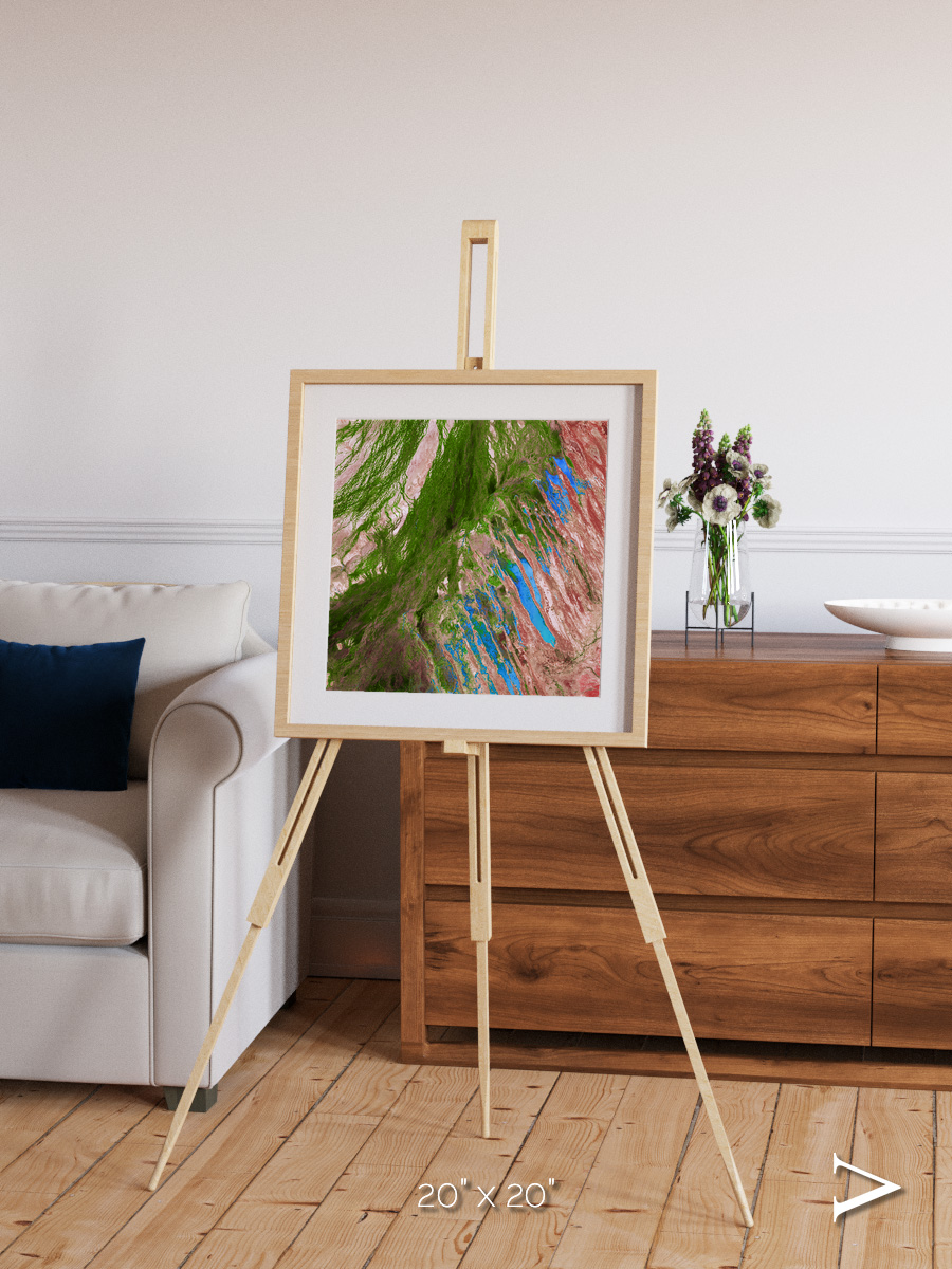 Desert Bloom, Lake Eyre Basin Framed & Mounted Print