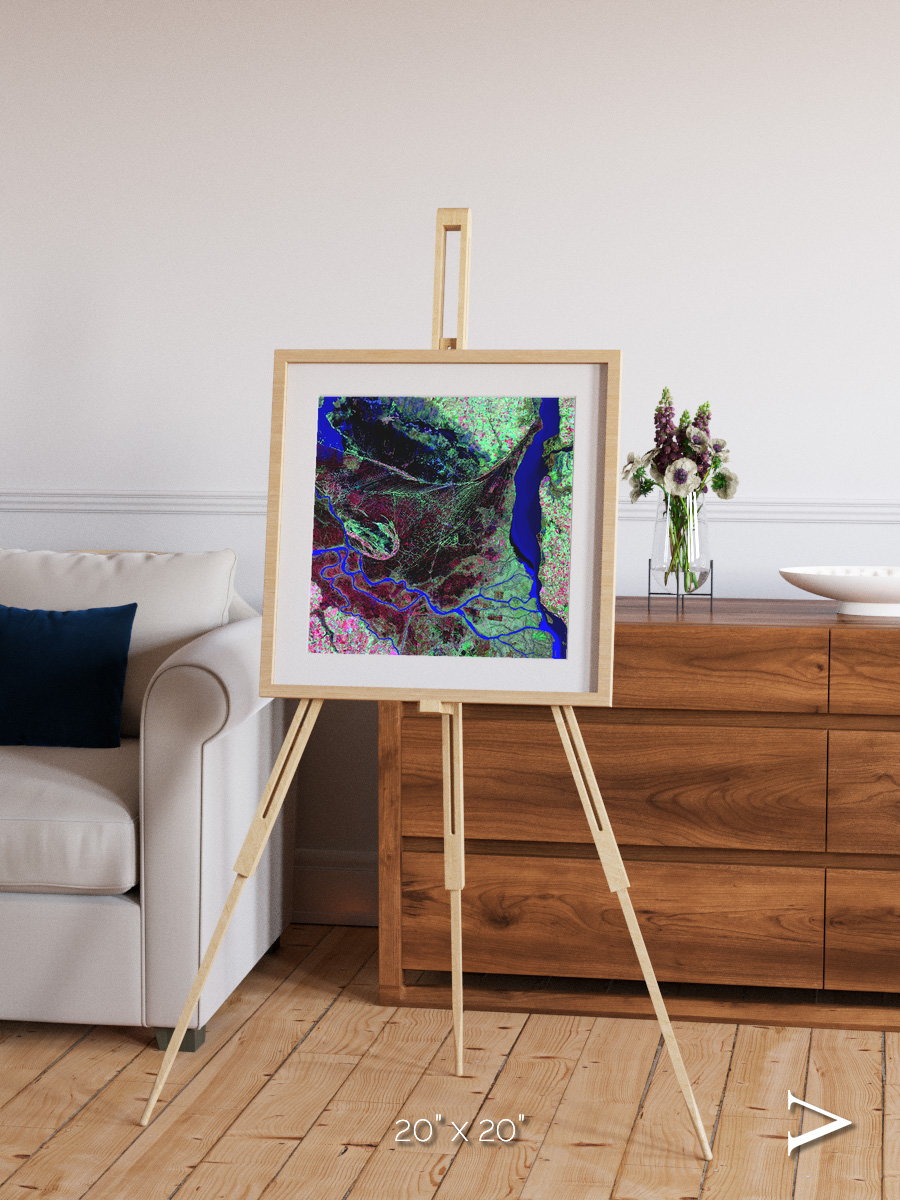 Braided Delta, Parana River Delta Framed & Mounted Print