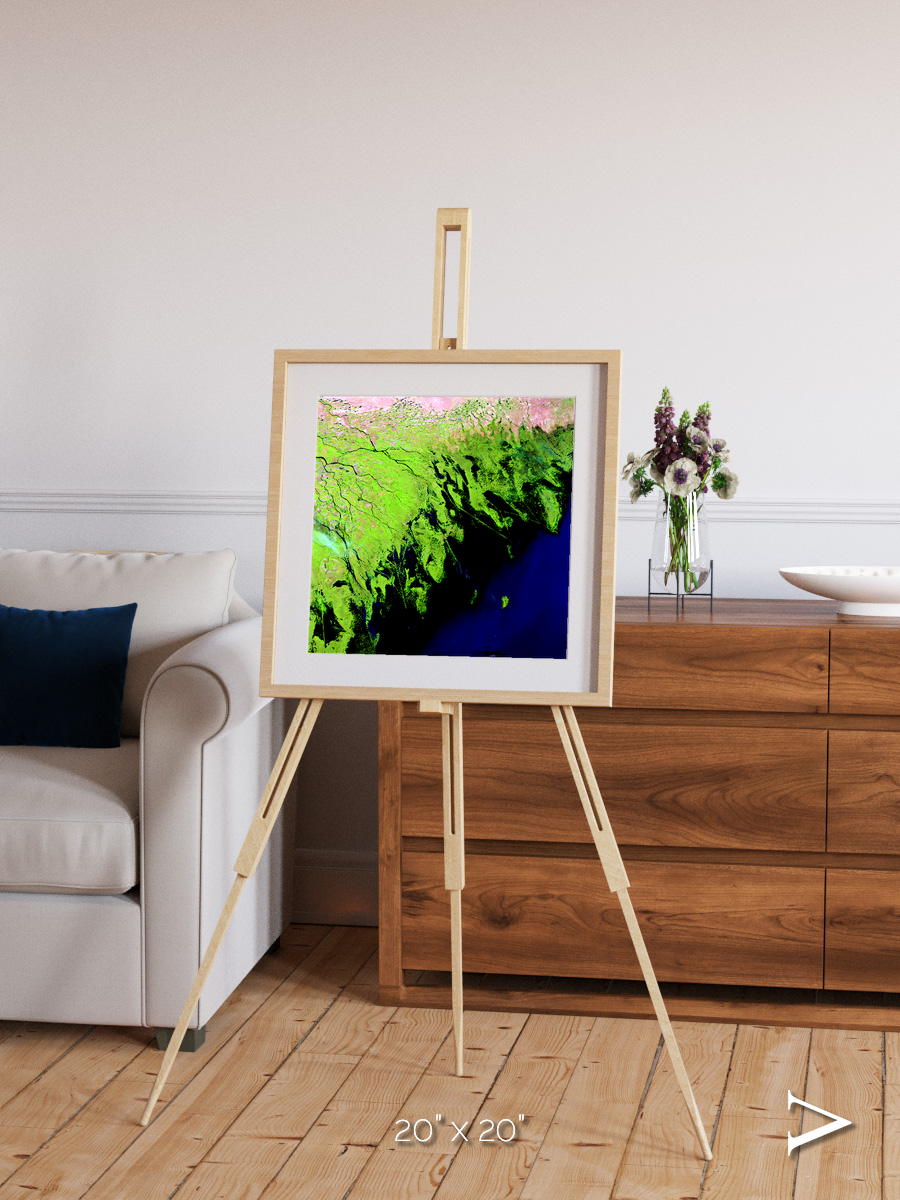 Delta Mosaic, Volga River Delta Framed & Mounted Print