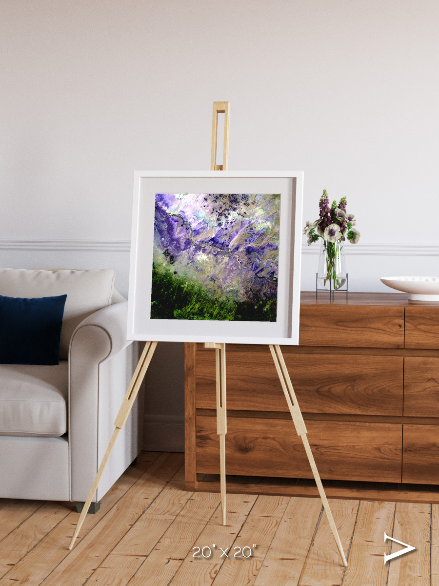 Arid Mosaic, Desert to Forest Framed & Mounted Print