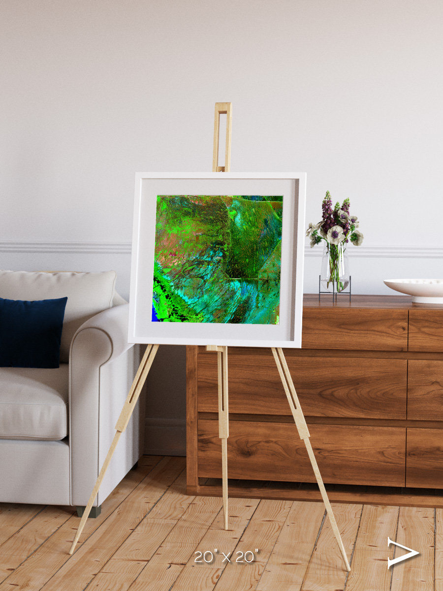Linear Dunes, Florida Everglades Framed & Mounted Print