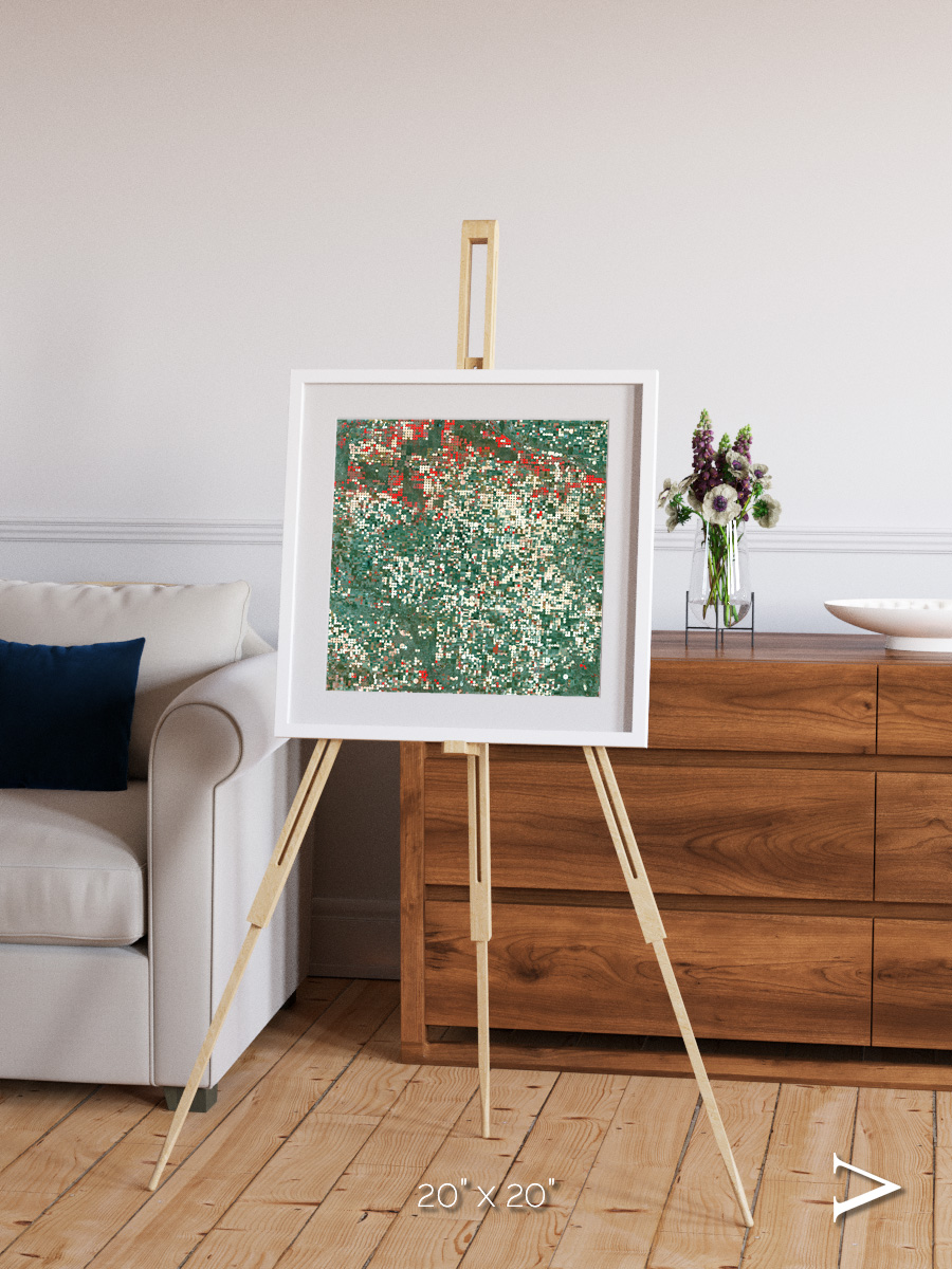 Patterns of Growth, Garden City Framed & Mounted Print