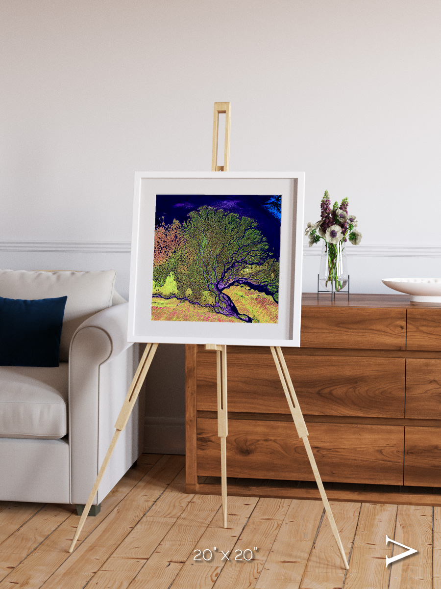 Delta Mosaic, Lena Delta Framed & Mounted Print