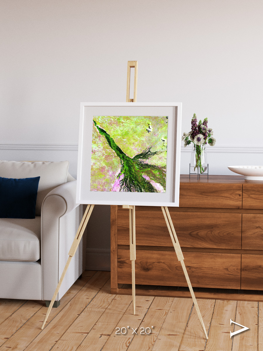 Inland Bloom, Okavango Framed & Mounted Print