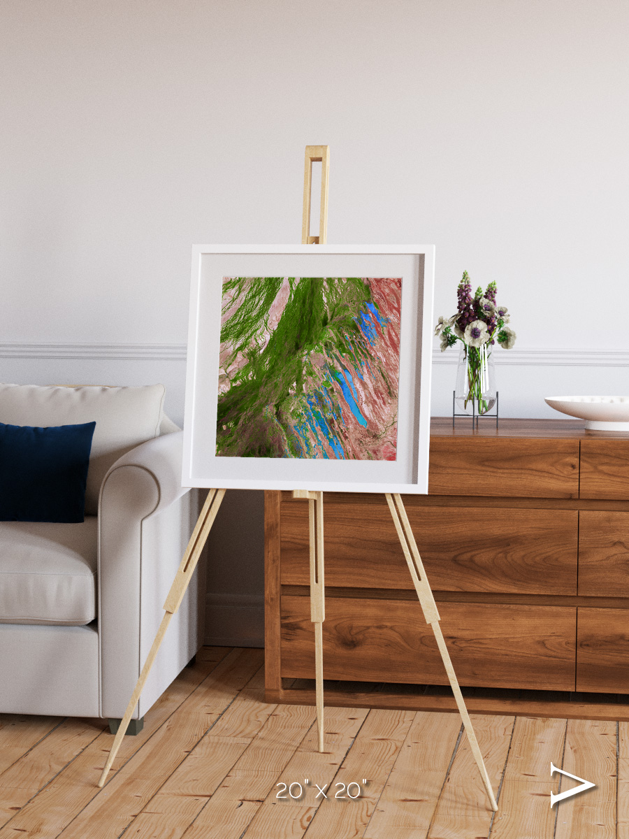 Desert Bloom, Lake Eyre Basin Framed & Mounted Print