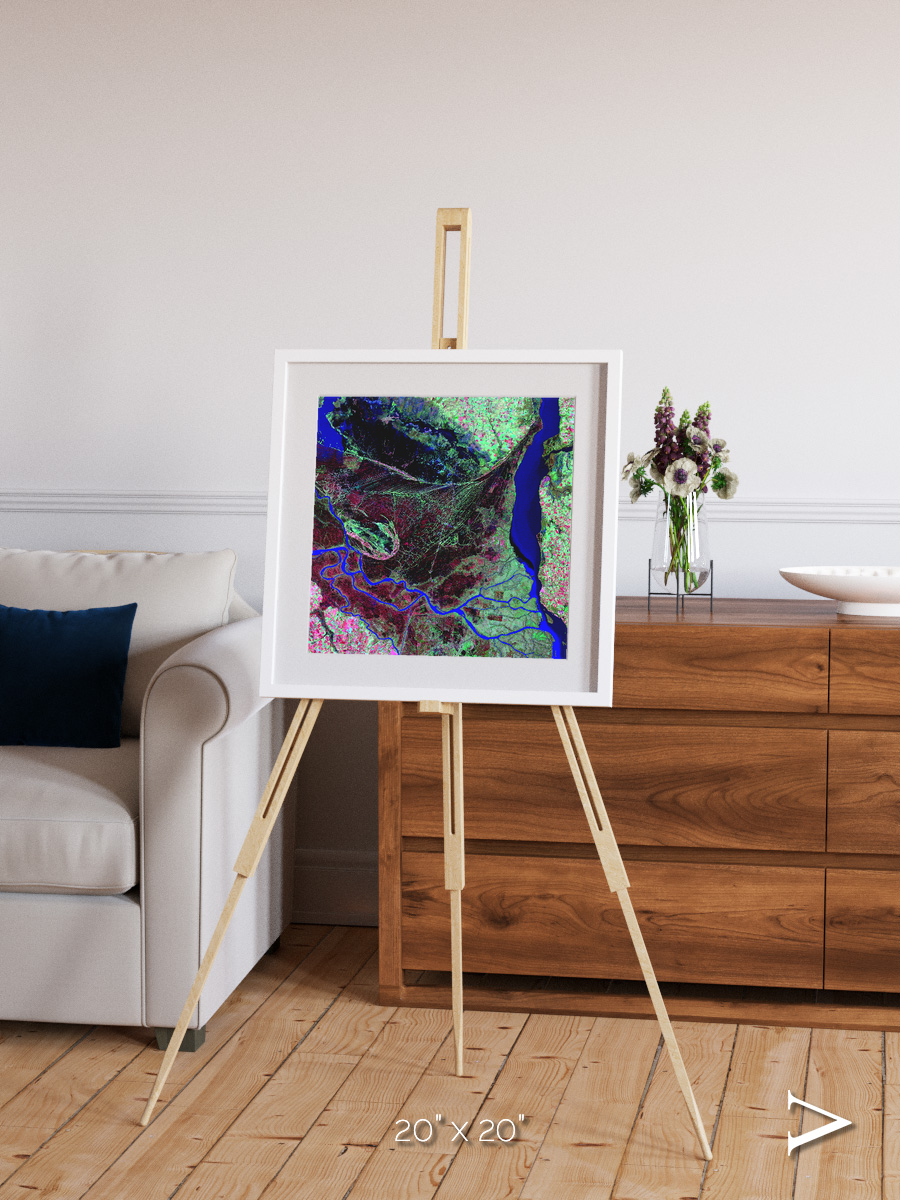 Braided Delta, Parana River Delta Framed & Mounted Print