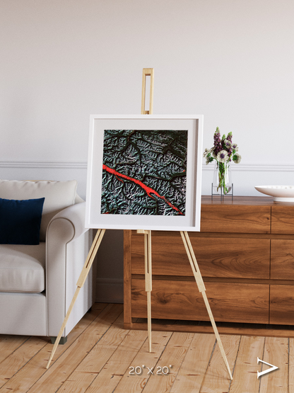 Light in the Trench, Canadian Rockies Framed & Mounted Print