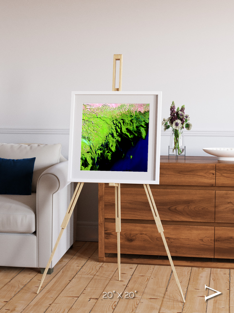 Delta Mosaic, Volga River Delta Framed & Mounted Print