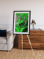 Ribbon River, Araca River Framed & Mounted Print