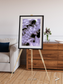 Vortices over Broutona, Kuril Islands Framed & Mounted Print