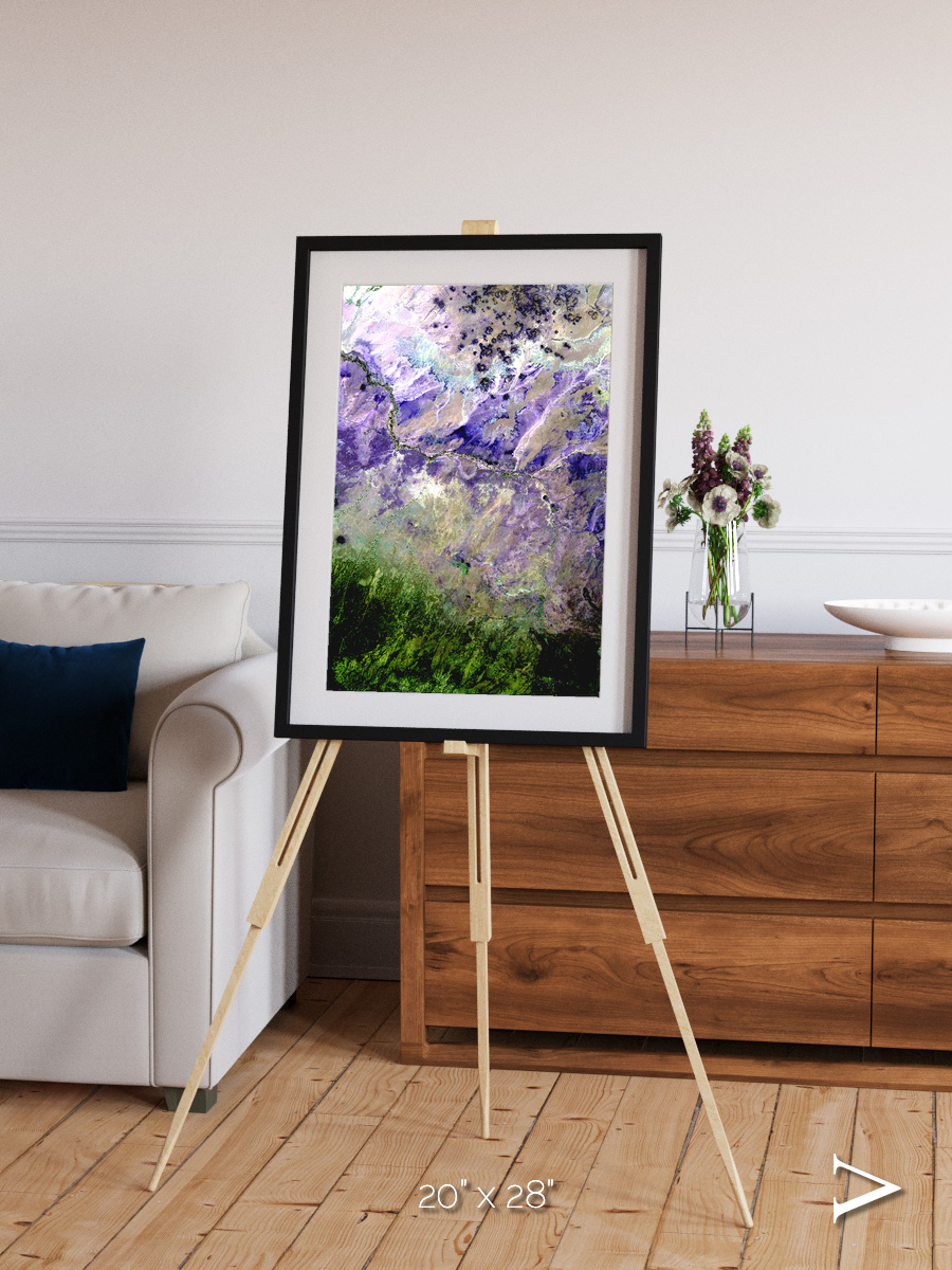 Arid Mosaic, Desert to Forest Framed & Mounted Print