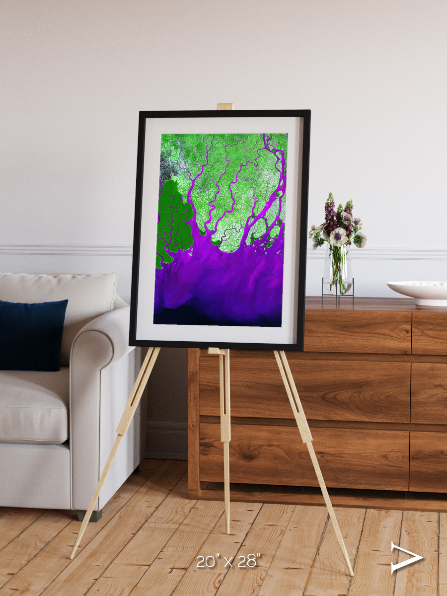 Delta Mosaic, Ganges River Delta Framed & Mounted Print