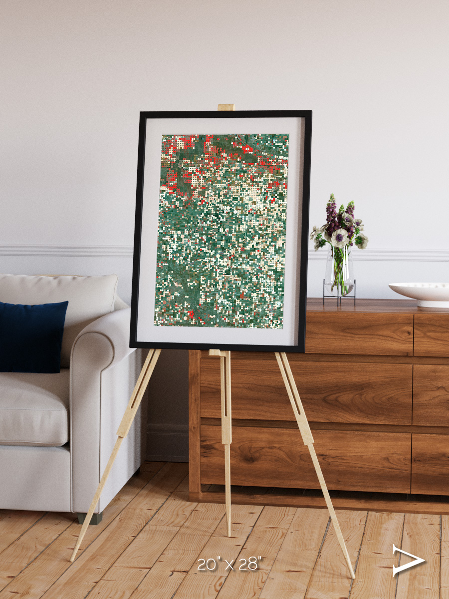 Patterns of Growth, Garden City Framed & Mounted Print
