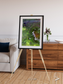 Vortex Trails, Mount Elgon Framed & Mounted Print