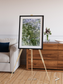 Earth in Colour, Namaqualand Framed & Mounted Print