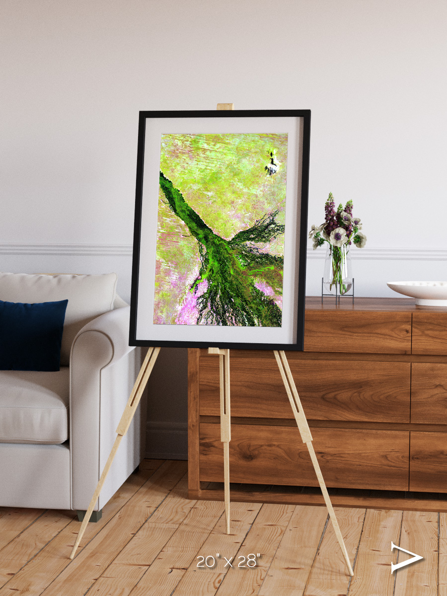 Inland Bloom, Okavango Framed & Mounted Print