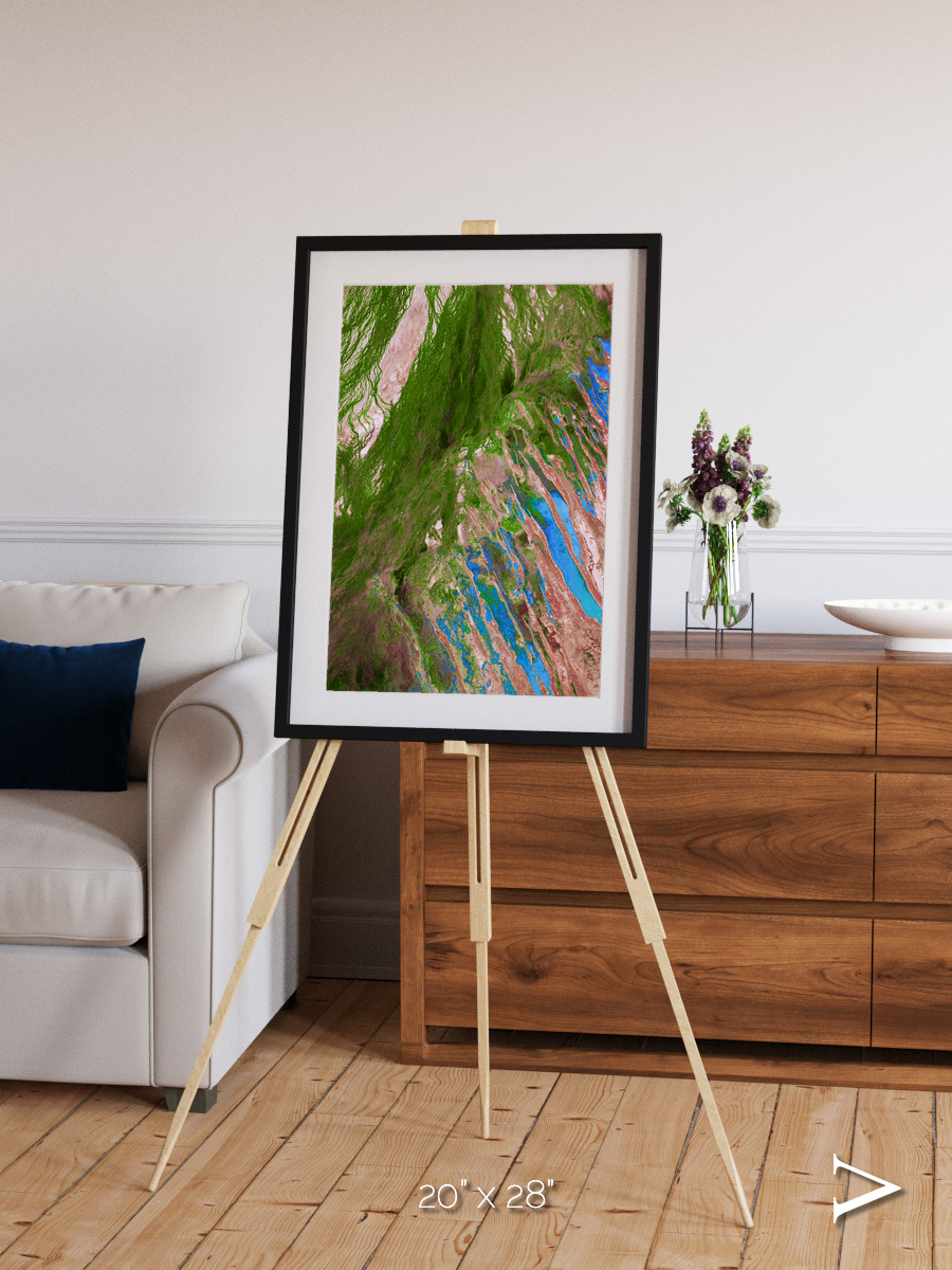 Desert Bloom, Lake Eyre Basin Framed & Mounted Print
