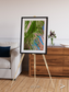 Desert Bloom, Lake Eyre Basin Framed & Mounted Print