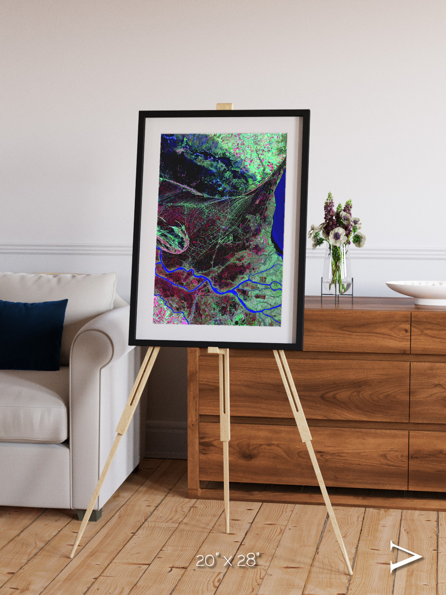 Braided Delta, Parana River Delta Framed & Mounted Print