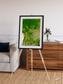 Ribbon River, South America Framed & Mounted Print