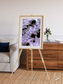 Vortices over Broutona, Kuril Islands Framed & Mounted Print