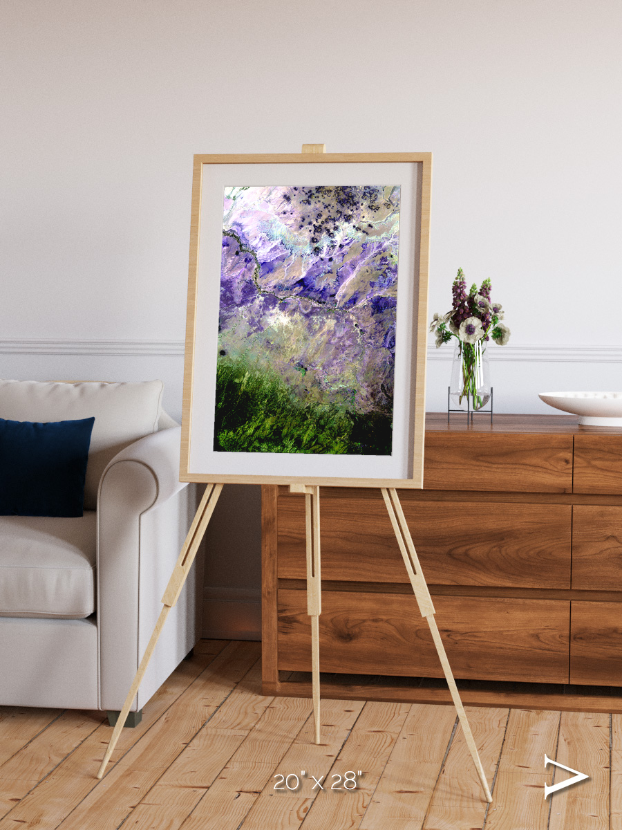 Arid Mosaic, Desert to Forest Framed & Mounted Print