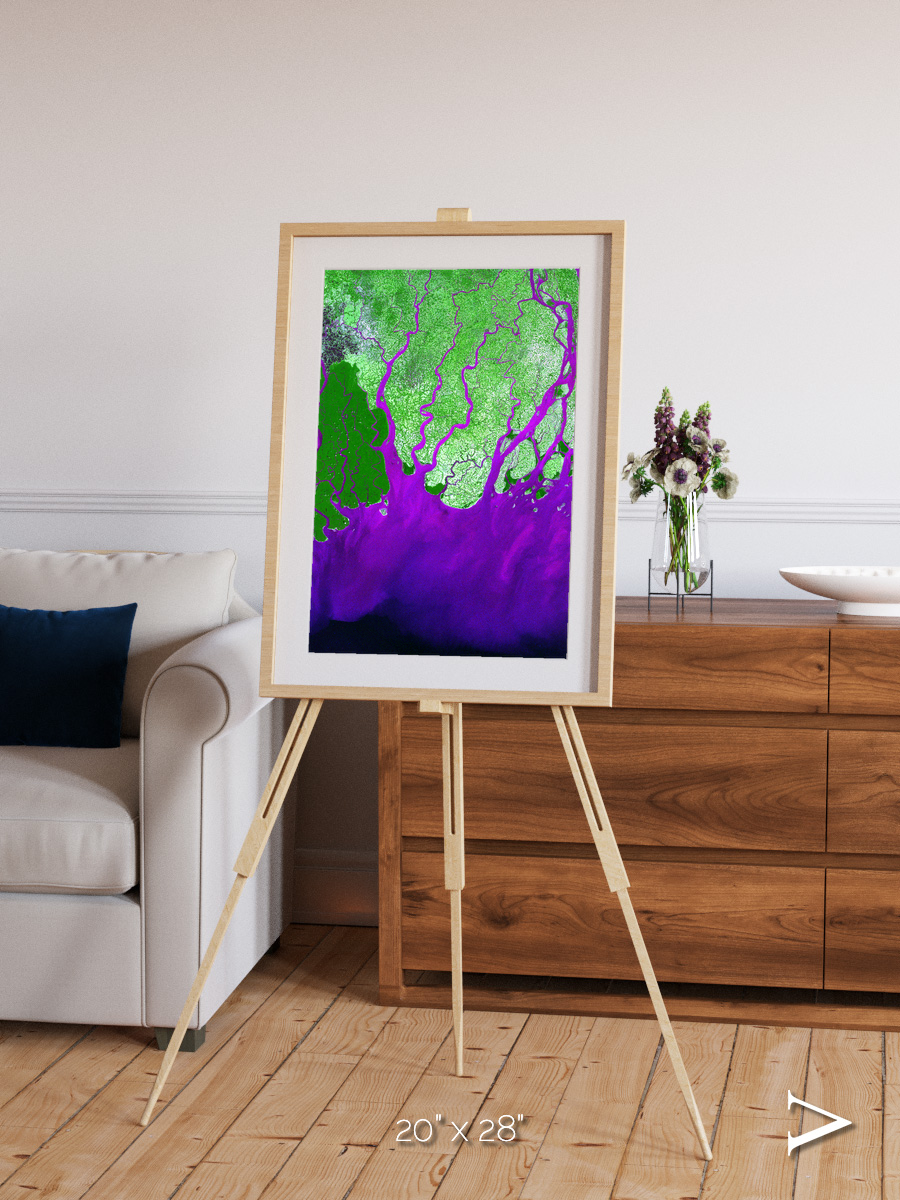 Delta Mosaic, Ganges River Delta Framed & Mounted Print