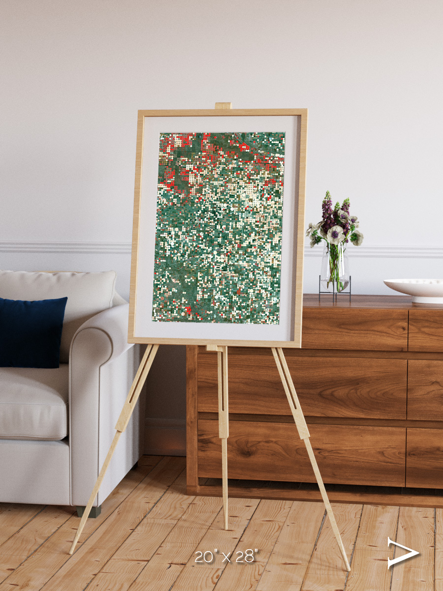 Patterns of Growth, Garden City Framed & Mounted Print