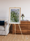 Earth in Colour, Namaqualand Framed & Mounted Print