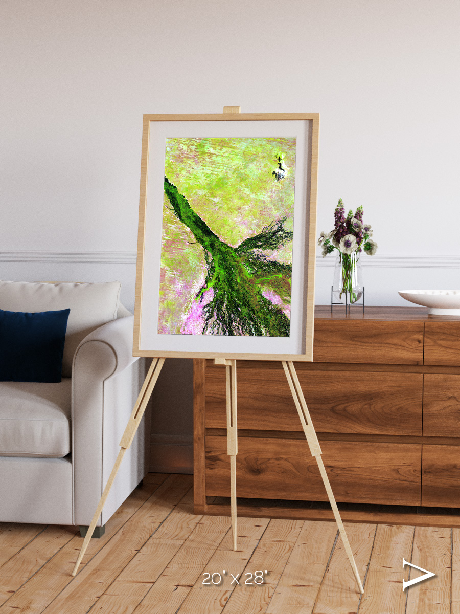 Inland Bloom, Okavango Framed & Mounted Print