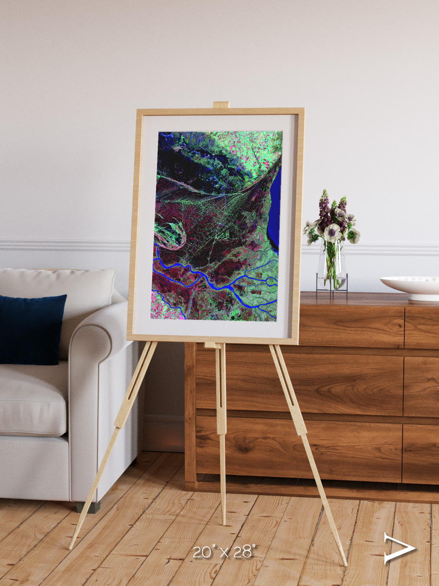 Braided Delta, Parana River Delta Framed & Mounted Print
