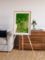 Ribbon River, South America Framed & Mounted Print