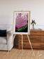 Monsoon Divide, Dhofar Framed & Mounted Print
