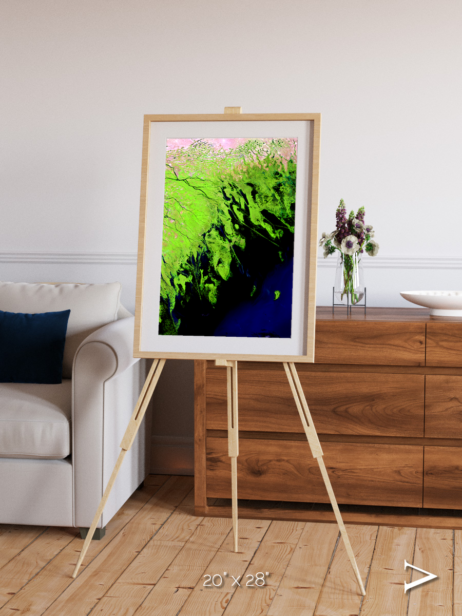 Delta Mosaic, Volga River Delta Framed & Mounted Print