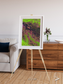 Channel Lines, Demini River Framed & Mounted Print