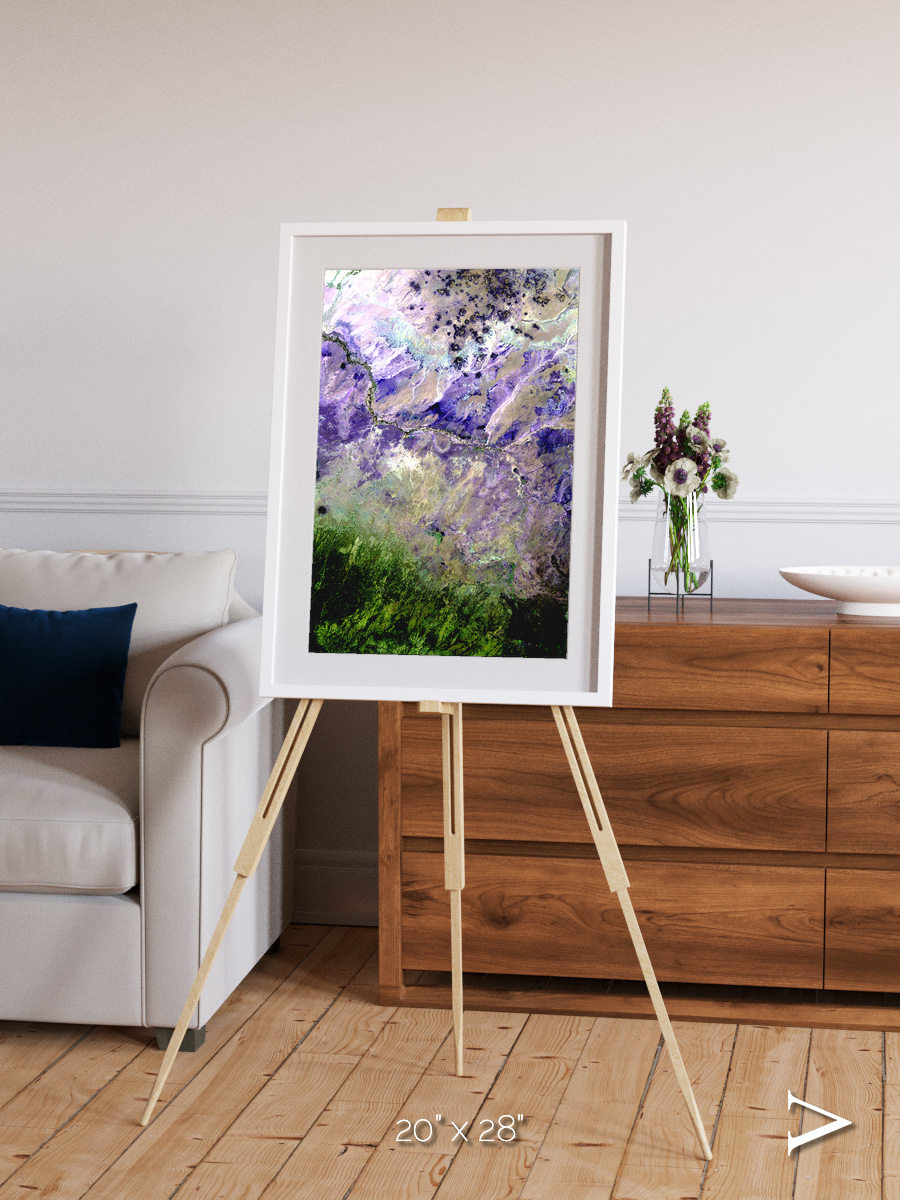 Arid Mosaic, Desert to Forest Framed & Mounted Print