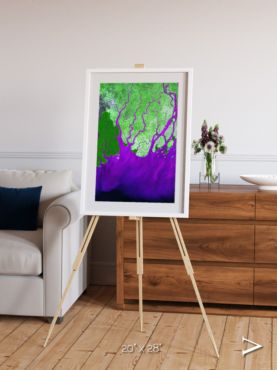 Delta Mosaic, Ganges River Delta Framed & Mounted Print