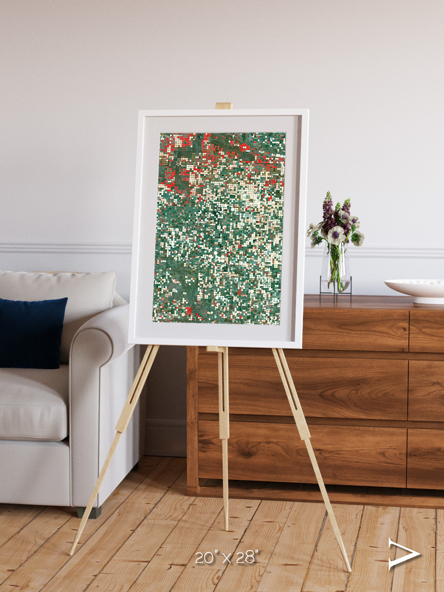 Patterns of Growth, Garden City Framed & Mounted Print