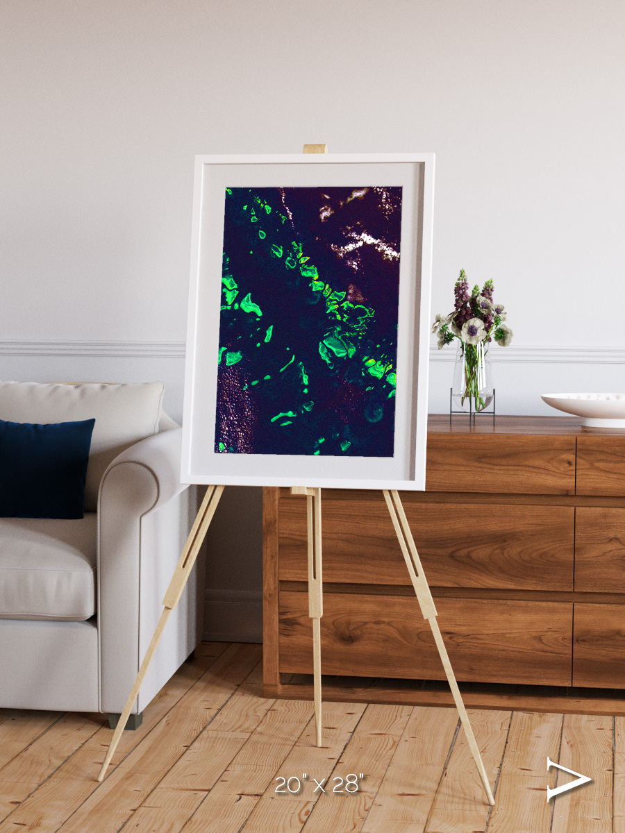 Patterned Ground, Great Barrier Reef Framed & Mounted Print